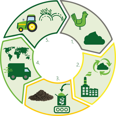 Empreendedorismo circular