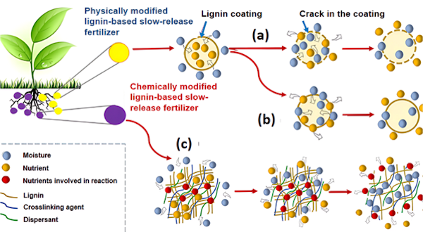Por que os fertilizantes em gel são a melhor escolha para a agricultura