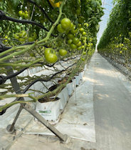 Turfas e substratos - JIFFY Grow Big Bag