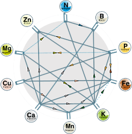 Papel dos fertilizantes